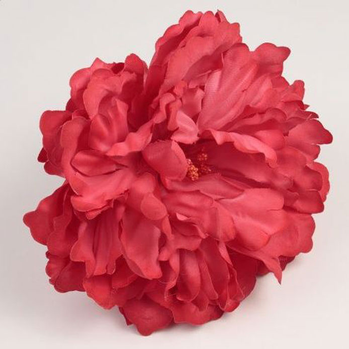 Peony Flower Paris Coral Colour