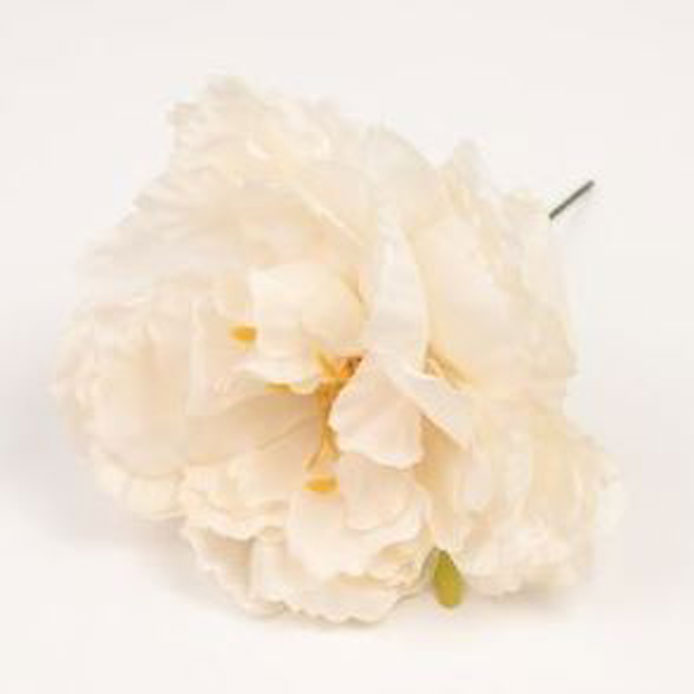 Peony Valencia. Flamenco Flowers. Vanilla. 12cm.