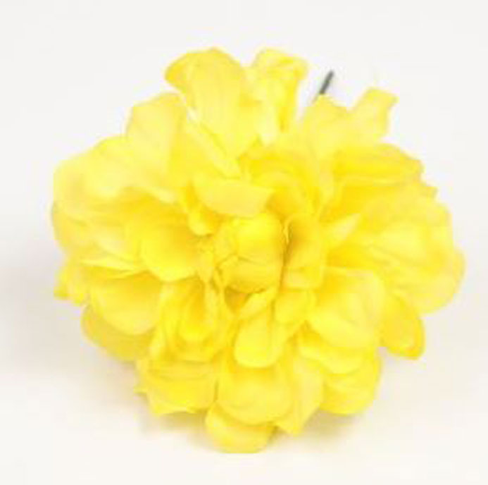 Zinnia. Flemish flower. Yellow. 9cm