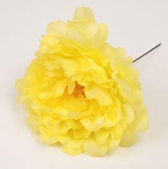 Pivoine Feria. Fleurs de Flamenco. Jaune. 11cm