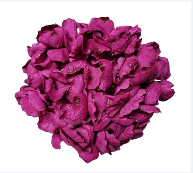 Hortensias Londres. Fleur de Flamenco pour les cheveux. Bougainvillier 36. 20cm