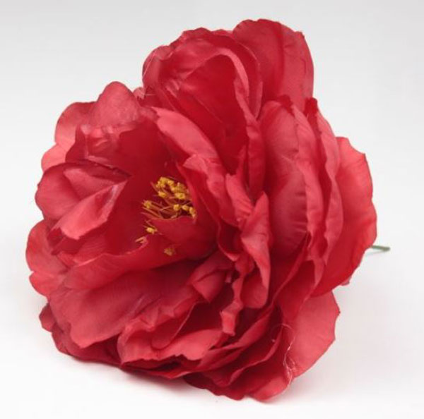 Peonia Sanlucar Flamenco Flowers. 12cm. Red