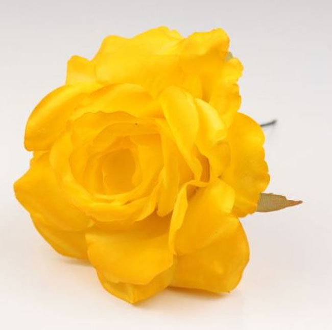 Rosa Pequeña Cádiz. 10cm. Amarillo 16