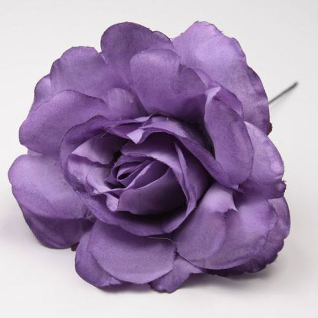 Rosa Pequeña Cádiz. 10cm. Morado 32