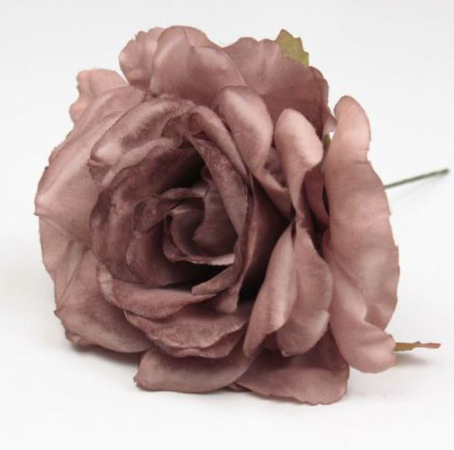 Small Rose Cadiz. 10cm. Brown TR 34