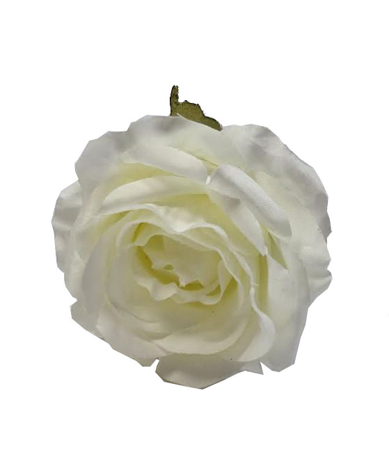 Mini Rose Granada. 7cm. Blanc