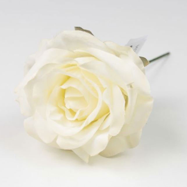 Mini Rose Granada. 7cm. Crème