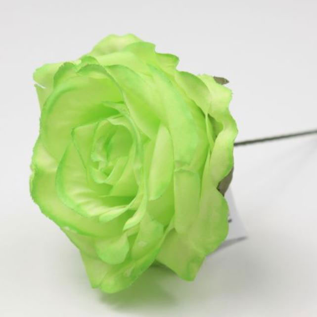 Mini Granada Rose. 7cm. Pistachio Green