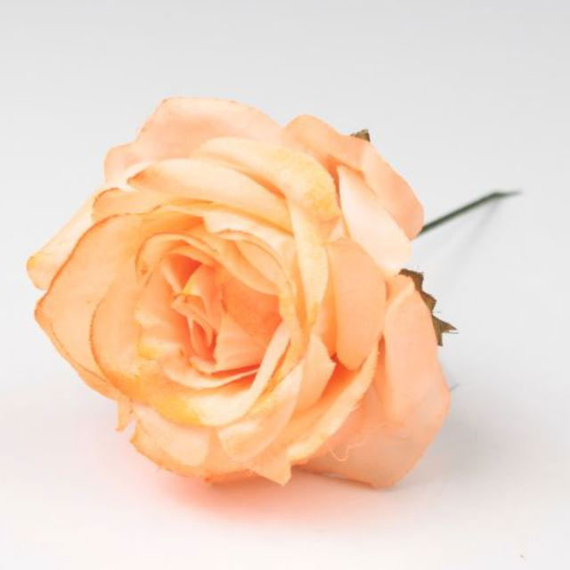 Mini Rose Granada. 7cm. Orange