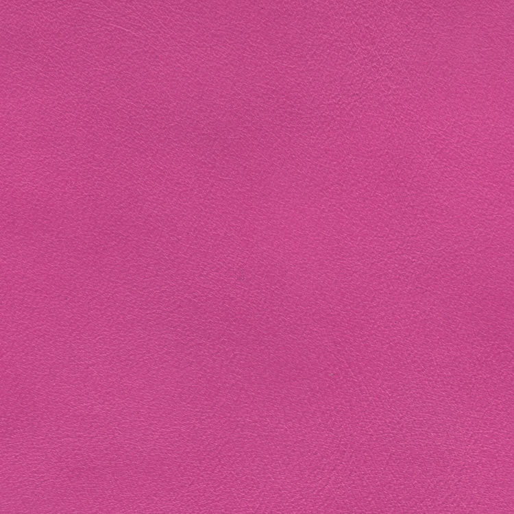 C-495 - Bright pink