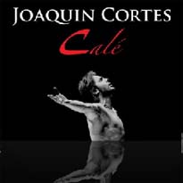 Joaquín Cortés en su espectáculo Calé