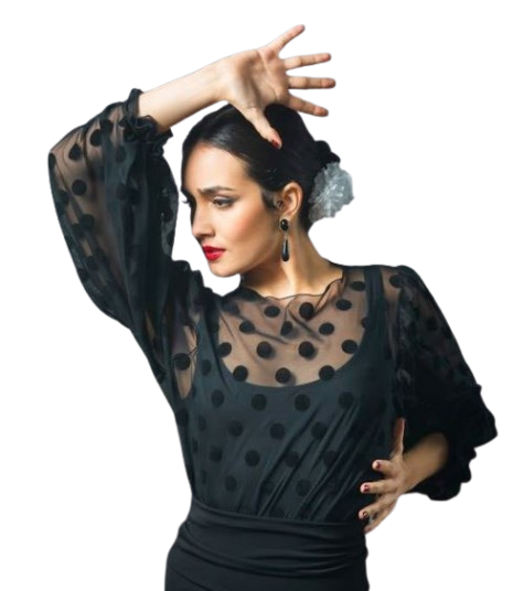 Flamenco dance Tops and Bodies