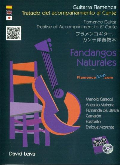 ＤＶＤ David Leiva. Tratado del Acompañamiento al Cante. Fandangos Naturales