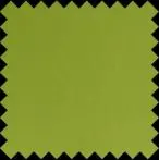 C-340 - Pistachio Green